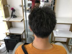 -艾美丽