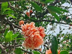 -云南滇池花园国际大酒店温泉