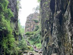 -茅兰沟国家森林公园