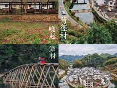 -婺源风景区