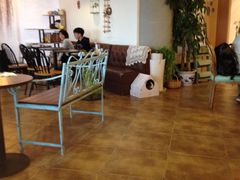 大堂-共舞时光猫咖·狗咖(新街口店)