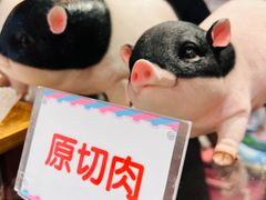 -小猪找肉肉脯干(鼓浪屿店)