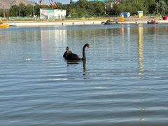 -水上乐园·欢乐世界