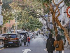 -溪岸路花鸟市场