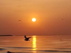 -金梦海湾浴场