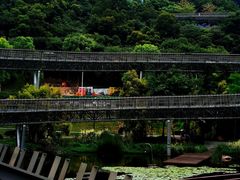 -福道