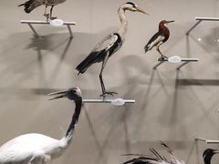 -中国湿地博物馆