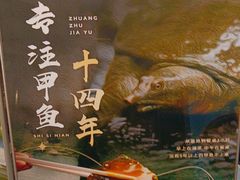 -东湖印象汉寿特色甲鱼钵子菜(渔人码头店)