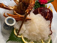 刺身澳洲龙虾（斤）-老江南春·中国龙菜(衡山路店)