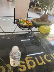 -蚂蚁造型沙龙