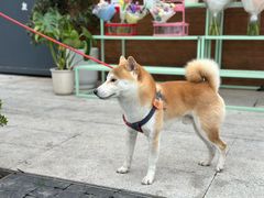 -漕溪路(地铁站)