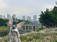 -三垟湿地