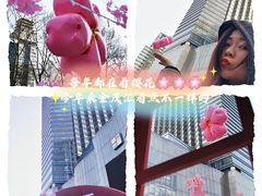 -金茂览秀城