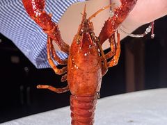 -七寸飝大饭店(马场店)