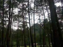 -Club Med地中海俱乐部·桂林度假村