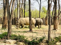 -北京野生动物园