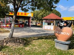 -上海海湾国家森林公园