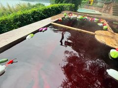 -天目湖涵田半山温泉