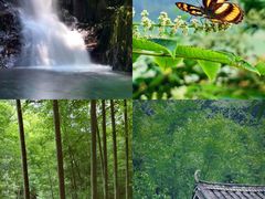 -羚羊峡古栈道森林公园