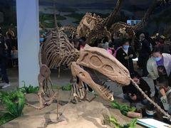 -自贡恐龙博物馆