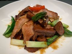 -沈灶河豚宴·河豚融合餐厅(汉中路店)