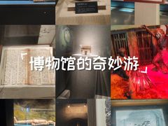 -亳州博物馆