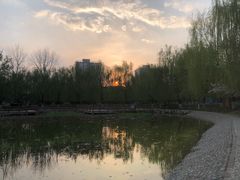 -丰台科技园生态主题公园