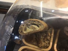 -G-Super 绿地优选(徐汇绿地缤纷城店)