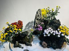 -汇龙潭
