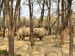 -北京野生动物园