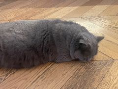 -Me Coffee下午茶艺术空间