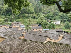-杨家堂村