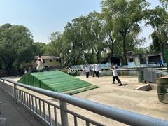 -白洋淀景区