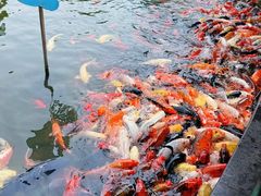 -南昌动物园