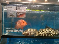 -盒马鲜生(曜一城店)