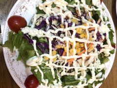 蔬菜芝士沙拉-食彩美印度特色美食餐厅·印度料理