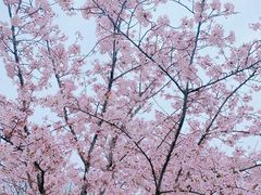 -龙美术馆(西岸馆)