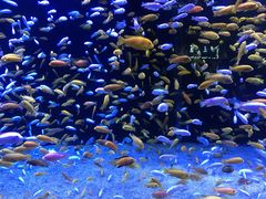 -成都浩海立方海洋公园