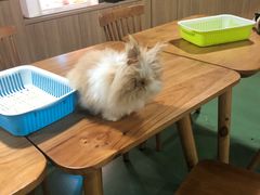 -藦茜花园宠物主题亲子互动体验馆(国顺东路店)