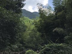 -山沟沟景区