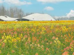 -中国天府农业博览园