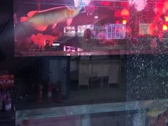 -中环花鸟鱼虫市场
