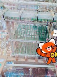 -PIPIKINGDOM皮皮王国欢乐号(欢乐海岸购物中心店)