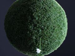 -荷兰布尔玛国际花艺学院