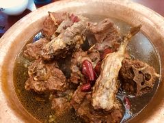 -蝎王府羊蝎子(北大地店)