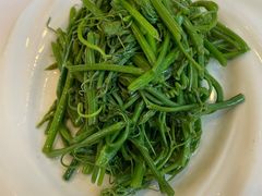 南瓜苗-川香楼酒家