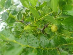 -蟠龙山长城景区