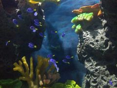 -多彩贵州城极地海洋世界