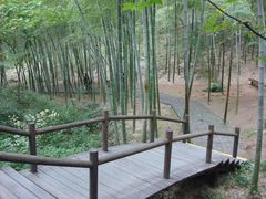 -天目湖山水园