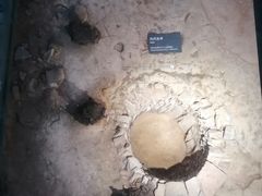 -南越王博物院(王宫展区)